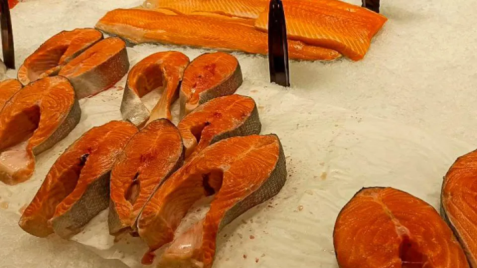 Фото: REGIONS/Эльвира Сафина