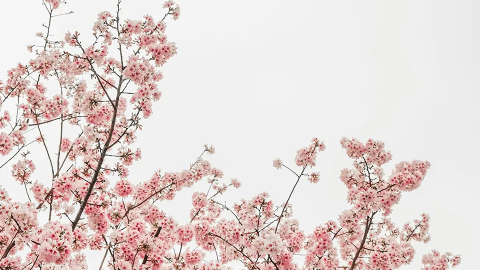 Фото: unsplash.com