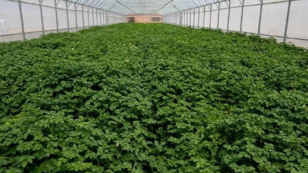 Фото: пресс-служба администрации Талдомского г.о.