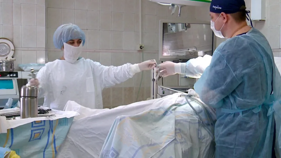 Фото: МедиаБанк Подмосковья/Ксения Казакова