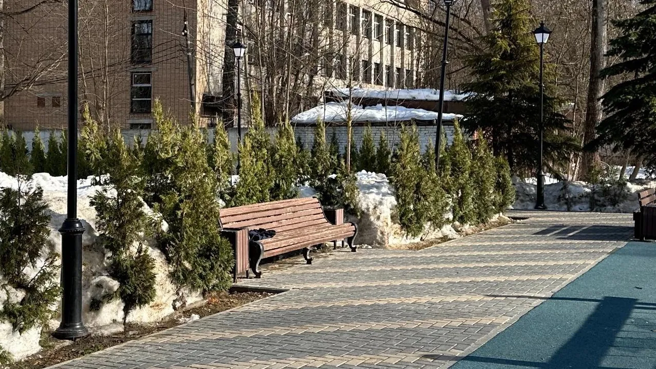 Фото: vk.com/Парки городского округа Истра