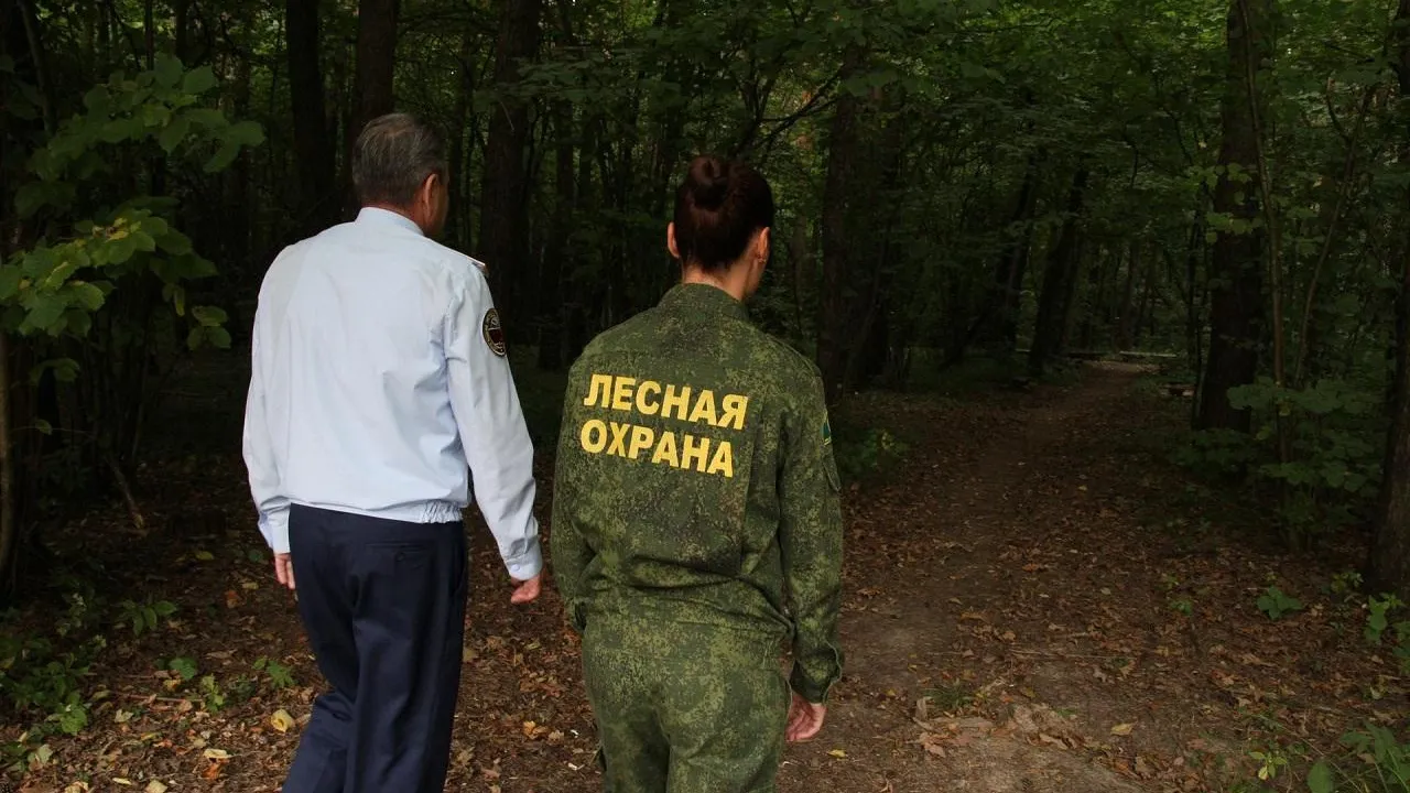 Пресс-служба ГКУ МО «Центр 112»