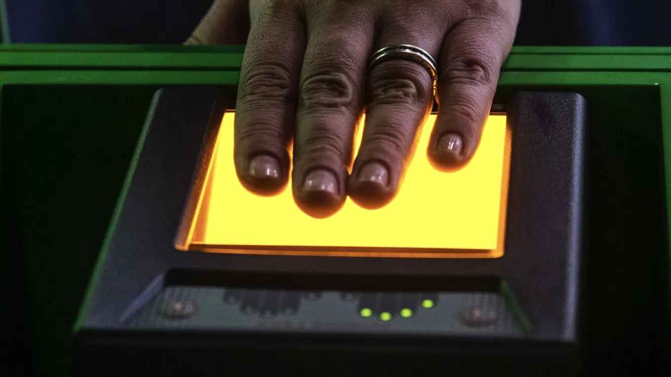 Фото: ТАСС/Сергей Бобылев