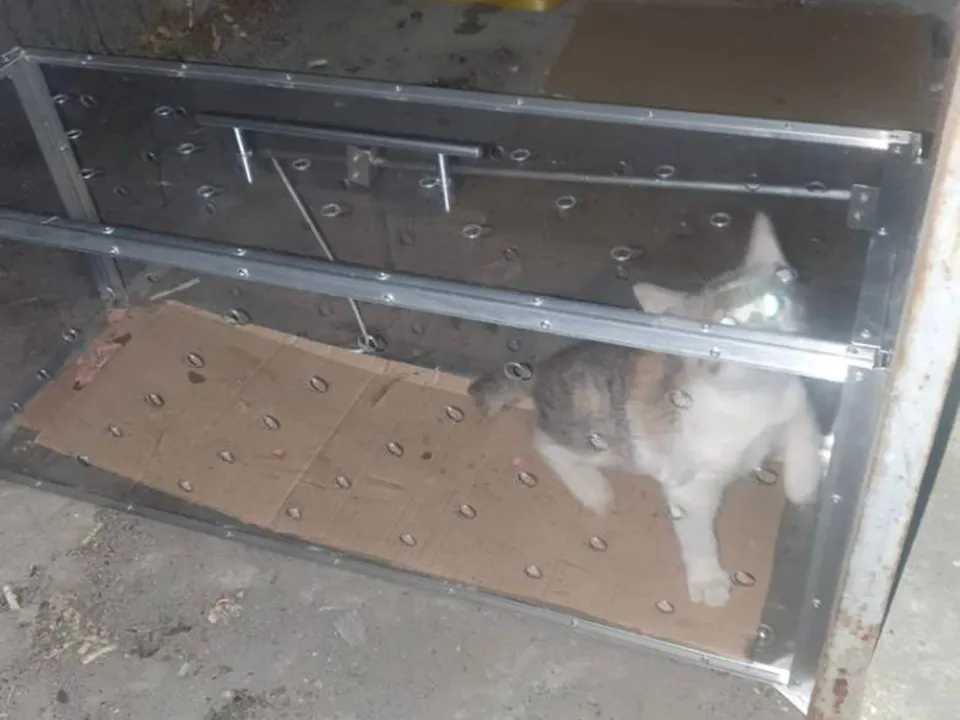 Фото: Елизавета Лоншакова