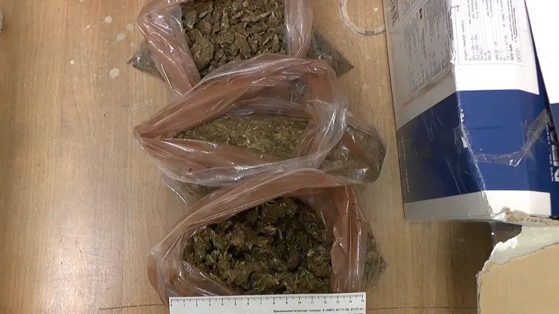 ГУ МВД по МО