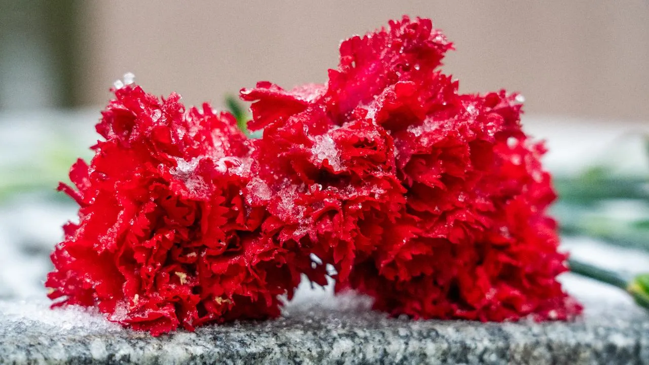 медиасток.рф