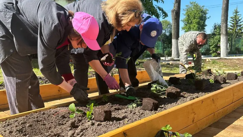 Фото: Пресс-служба Губернатора и Правительства Московской области