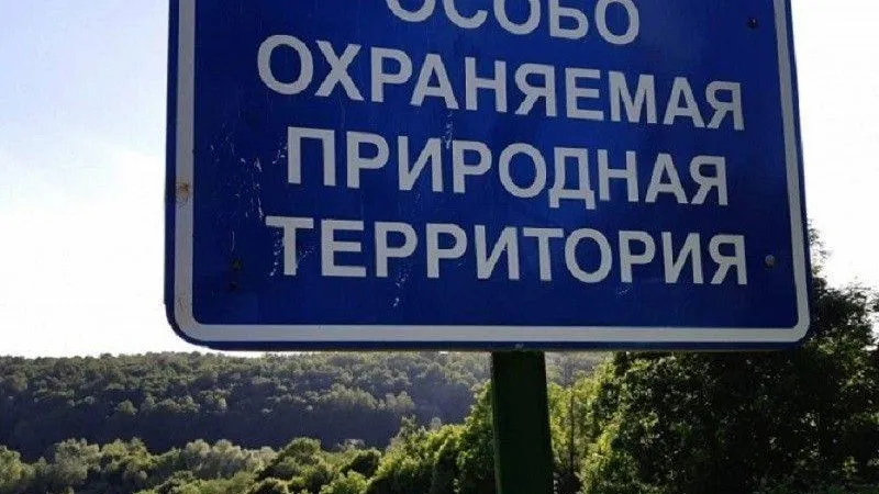 Минэкологии: реорганизованный одинцовский заказник обрел четкие границы