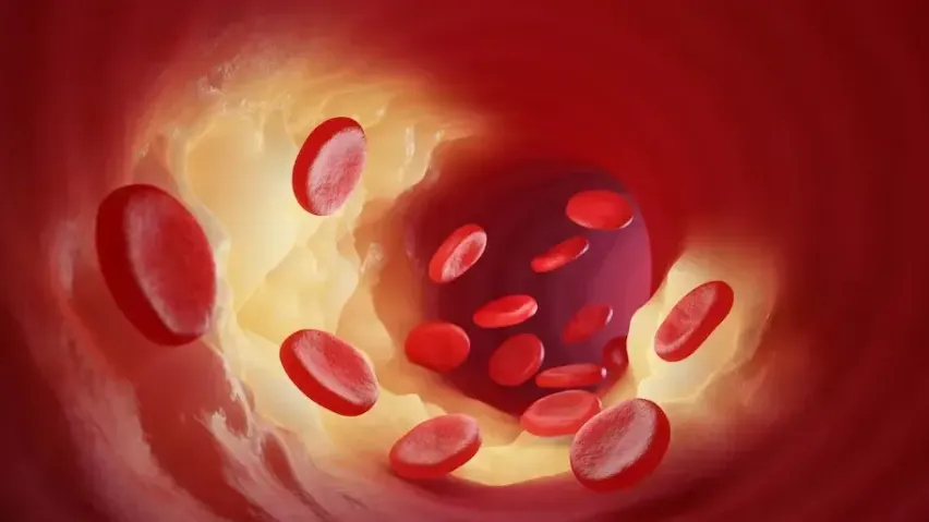 Фото: ru.freepik.com