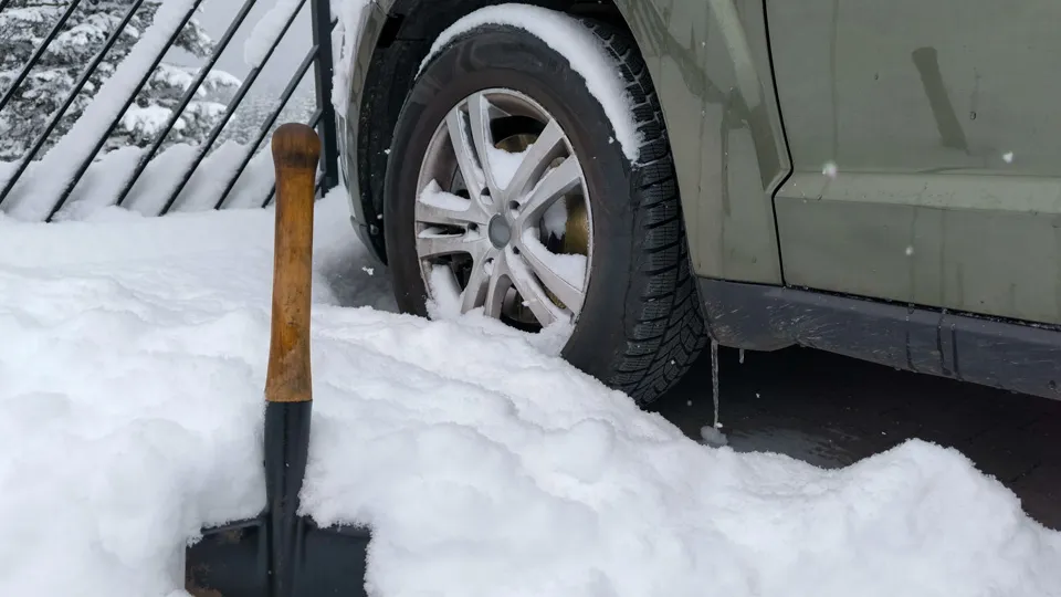 Фото: istockphoto.com/Liubou Labetskaya