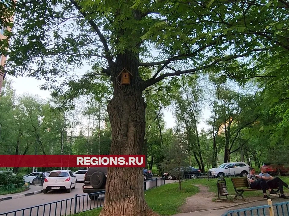 Фото: Никита Сморкалов