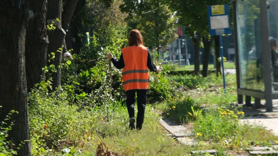 Фото: Мария Панина