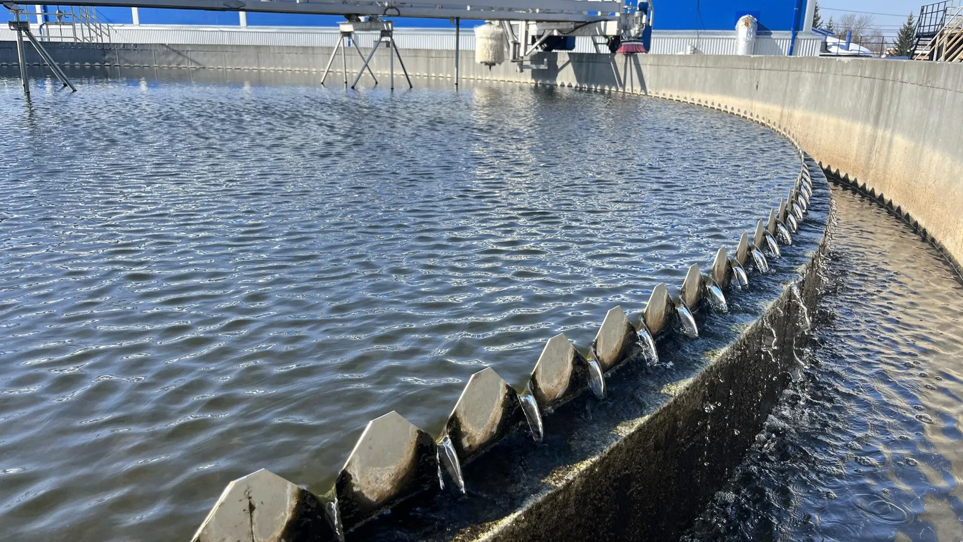 МедиаБанк Подмосковья/Ангелина Стельмух