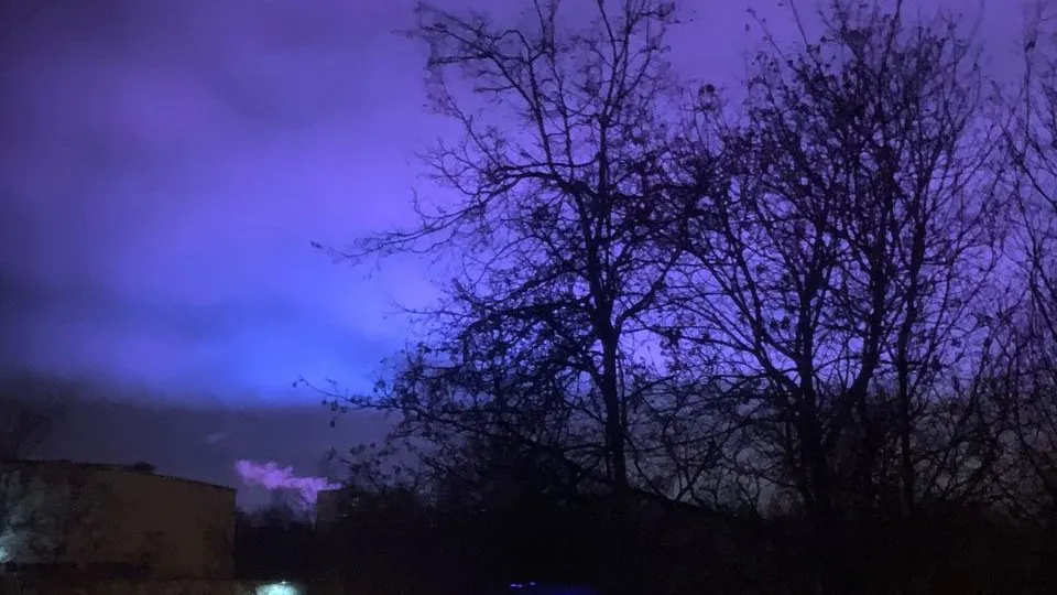 Фото: Павел Гуров