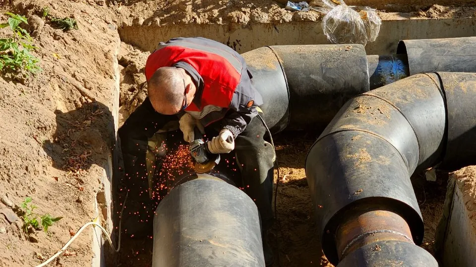 Фото: REGIONS/Полина Пахомова