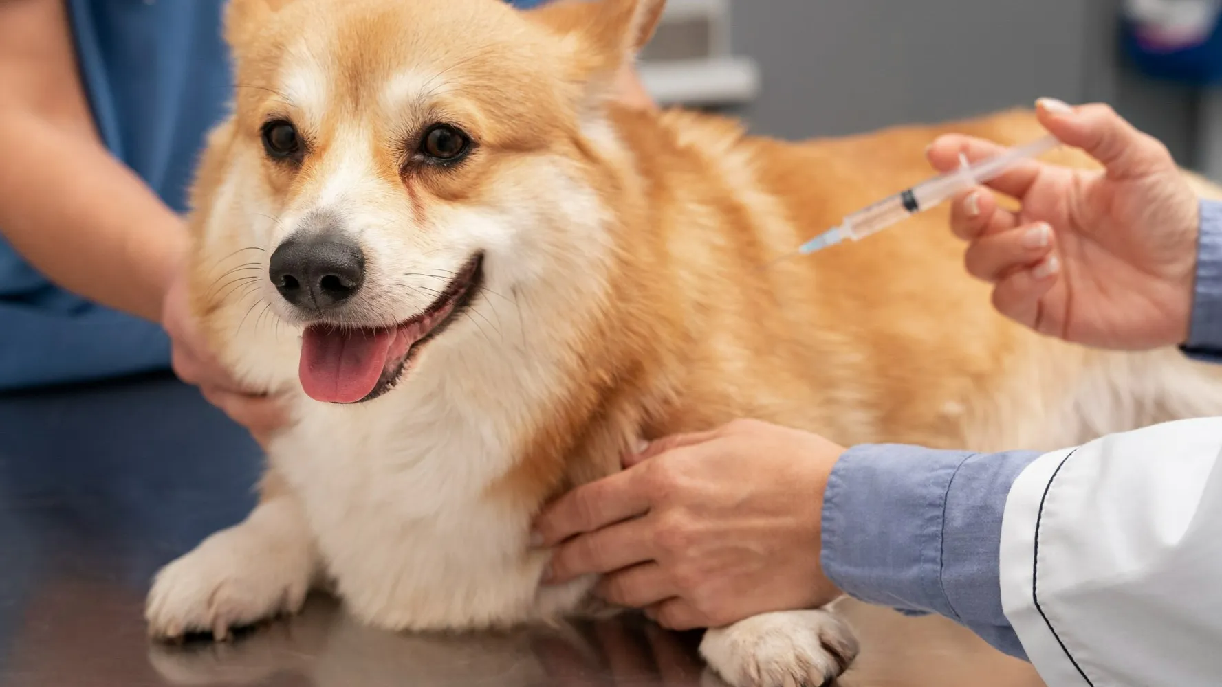 Фото: freepik.com