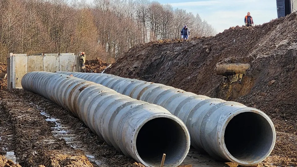 Фото: МедиаБанк Подмосковья/Дмитрий Алексеенко