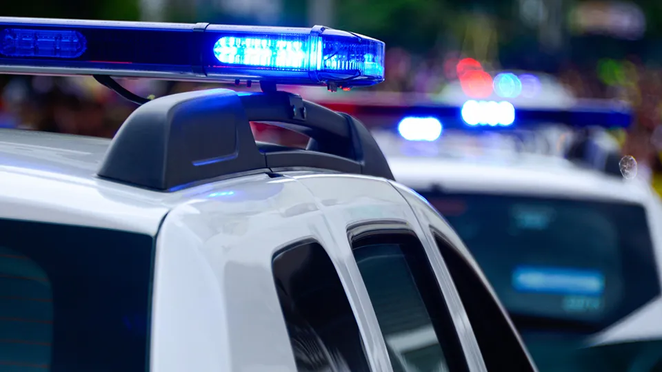 Фото: pxhere.com