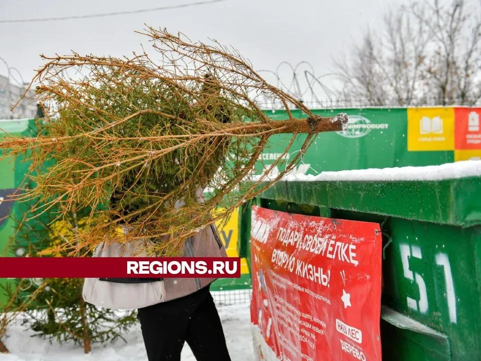 Фото: Иван Чижов