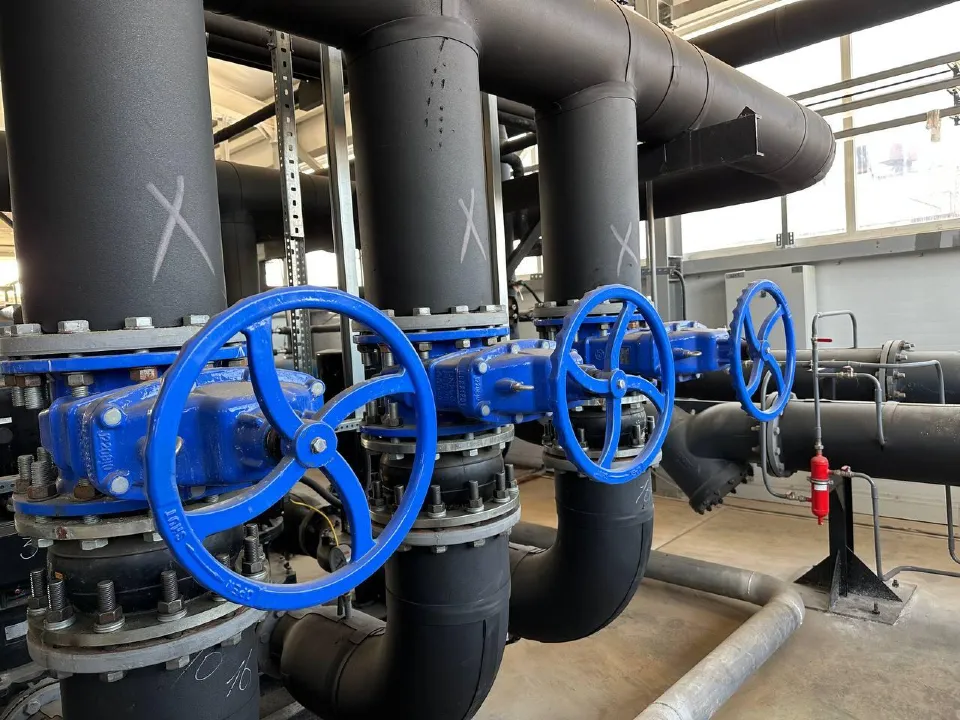 Фото: Эдуард Стратонов