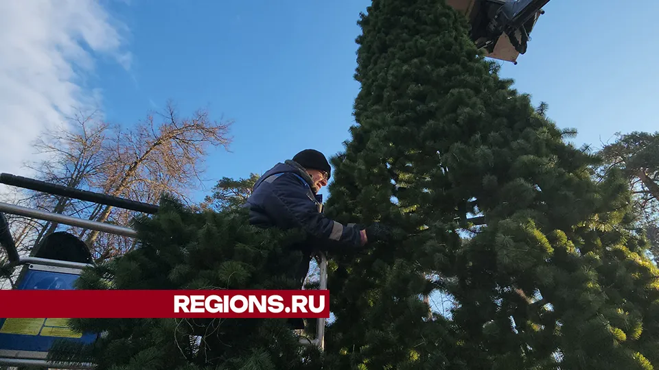 Фото: REGIONS/Валерий Гореловский