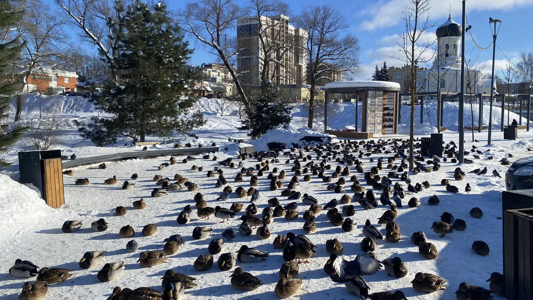 Анна Артюшина