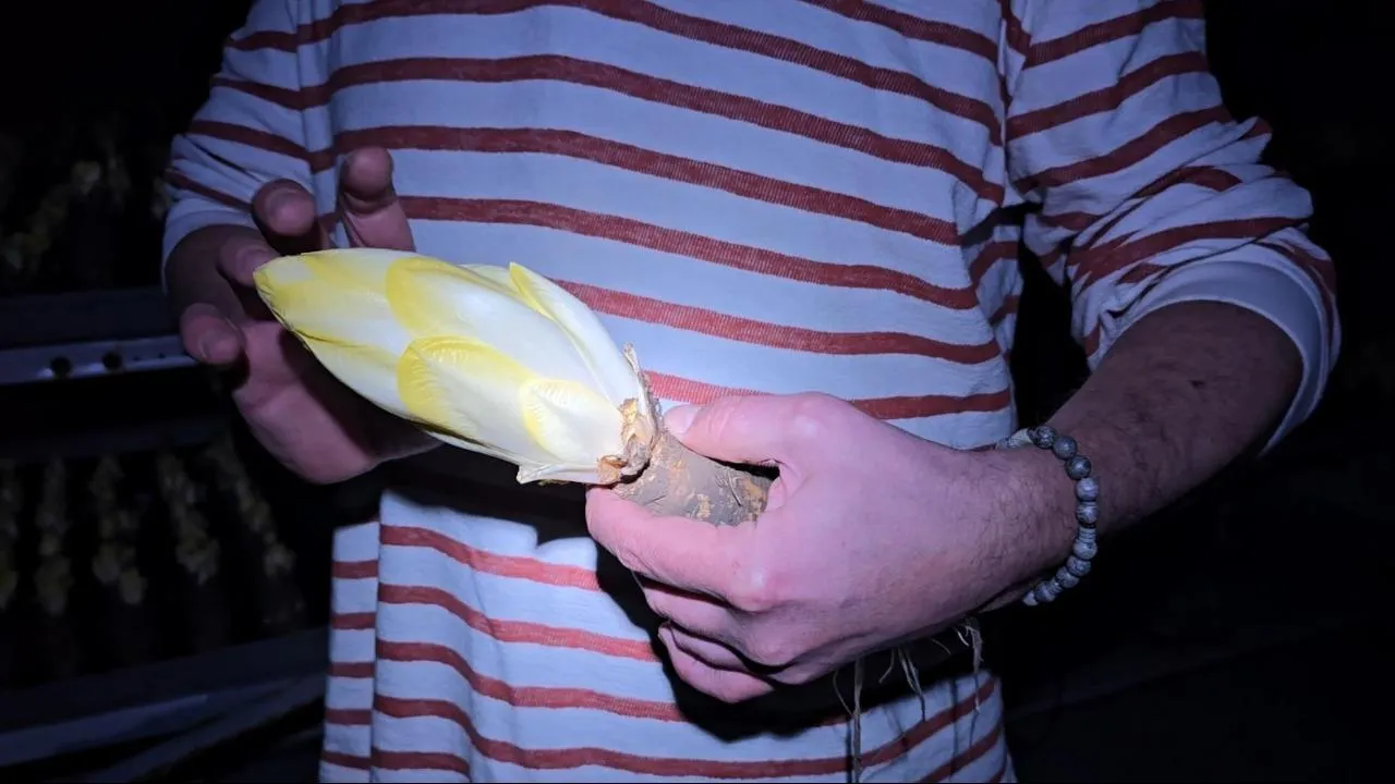 МедиаБанк Подмосковья/Марина Анисимова