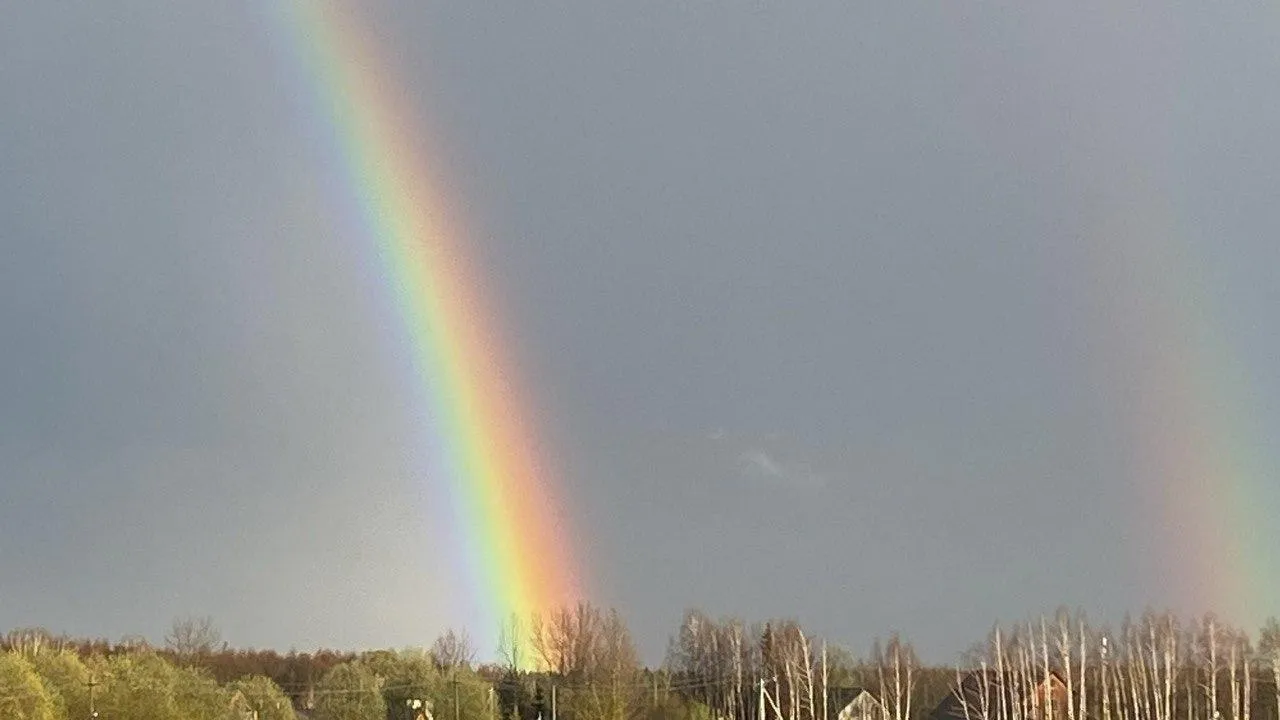 REGIONS/Полина Крачун