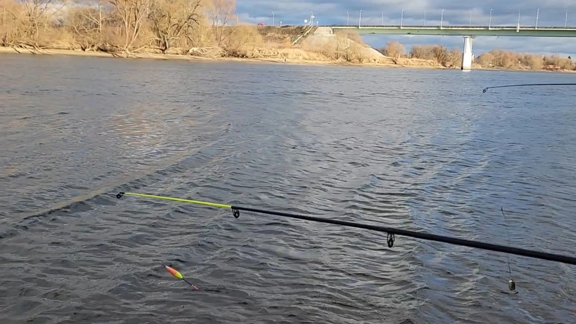 Фото: МедиаБанк Подмосковья/Ольга Антонова