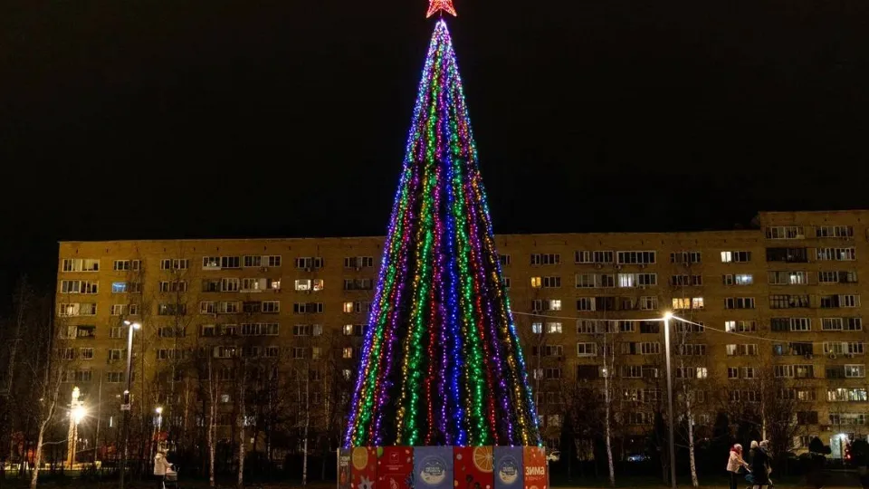 Фото: t.me/AnnaKrotova_Lobnya