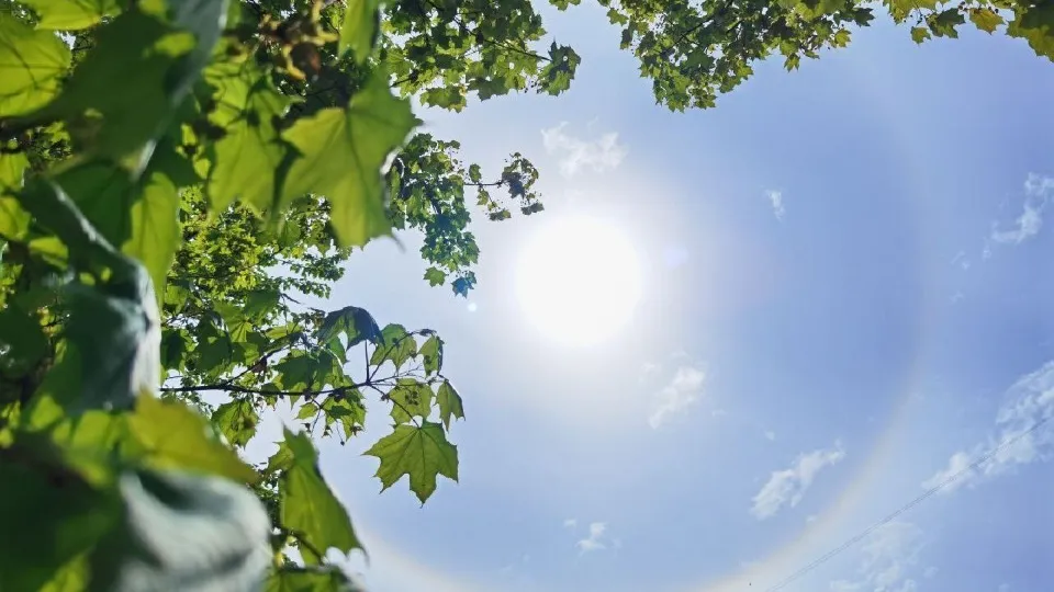 Фото: МедиаБанк Подмосковья/Дарья Леонова