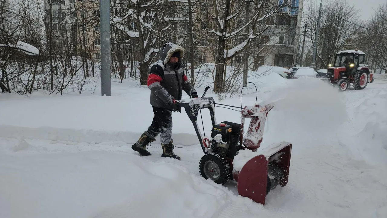 REGIONS/Кристина Ларина