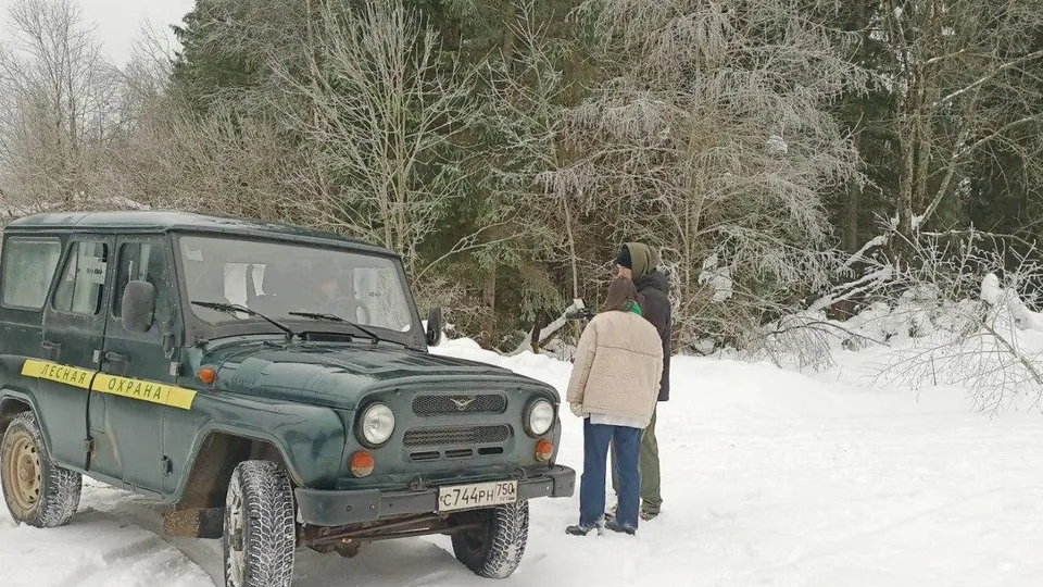 Фото: Мособллес