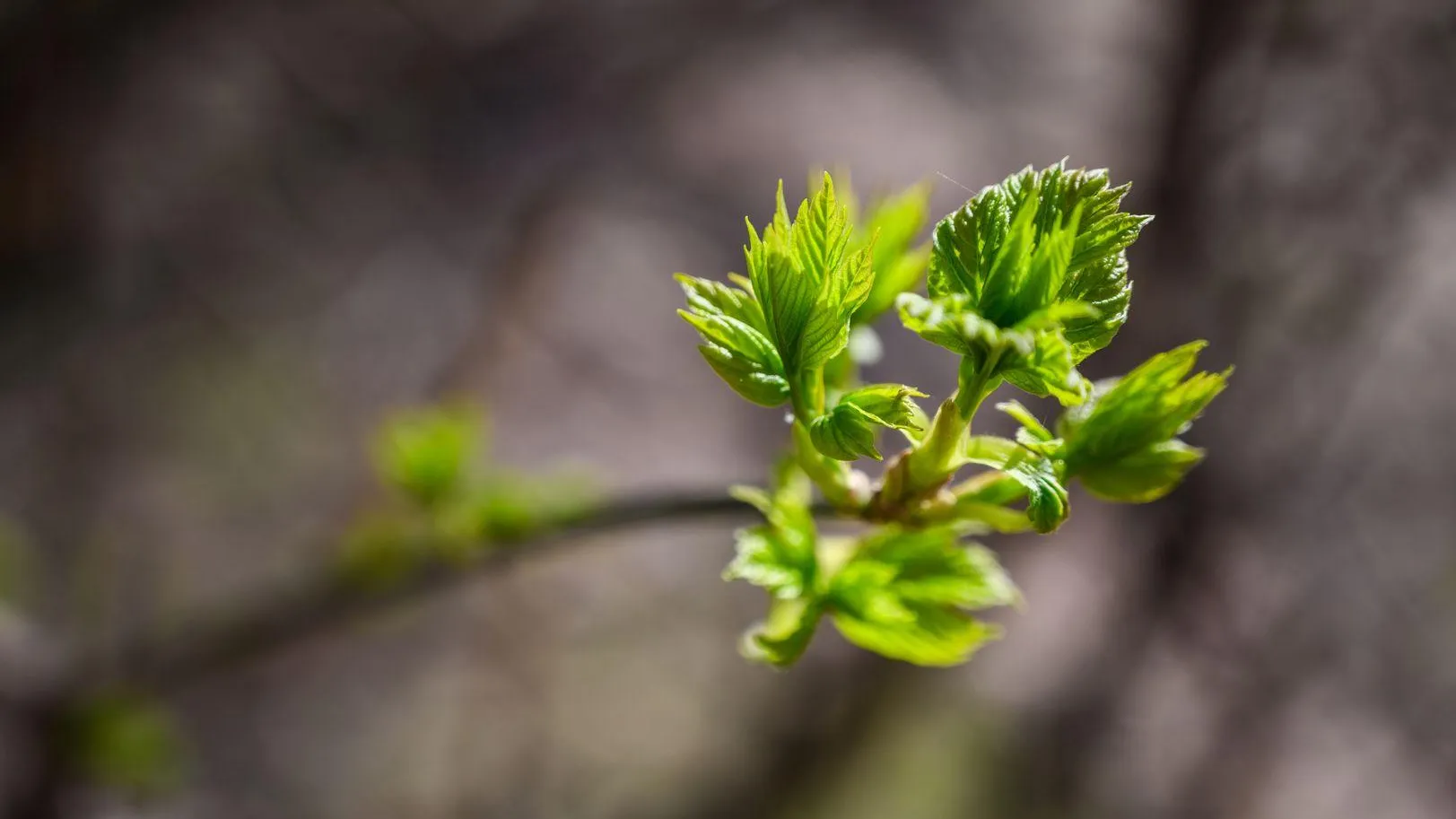 медиасток.рф