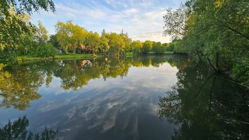 Фото Минэкологии МО.