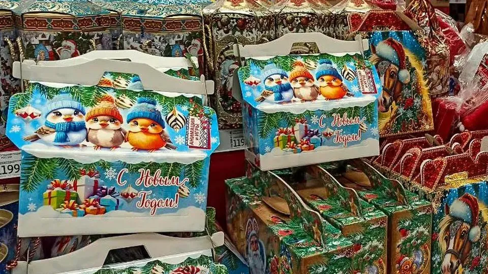 Фото: REGIONS/Эльвира Сафина