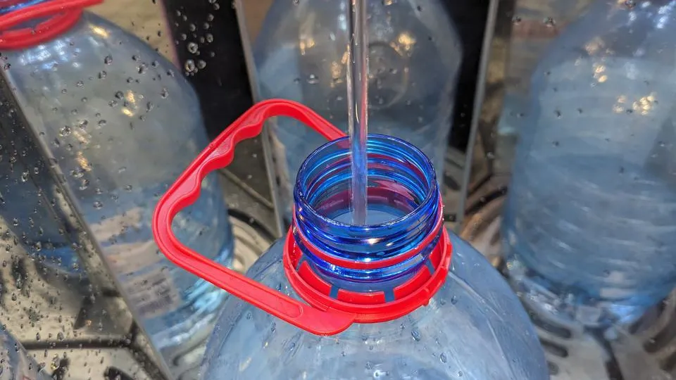 Фото: istockphoto.com/Olena Yefremkina