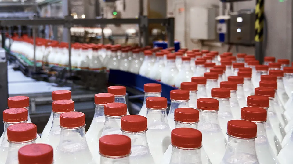 Фото: istockphoto.com/Nordroden