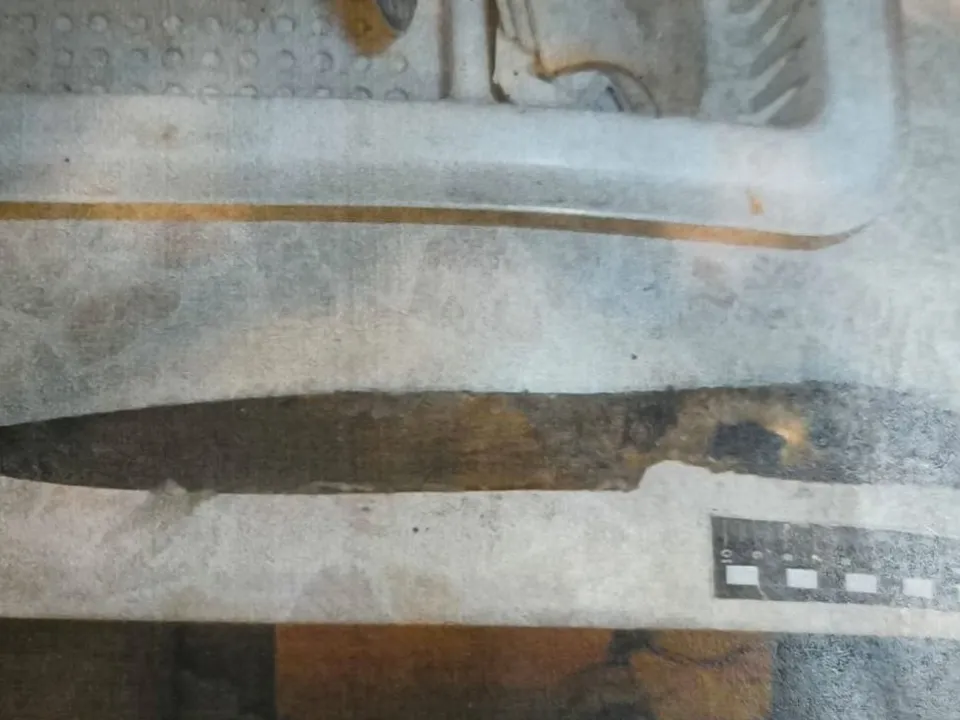 Фото: t.me/mosoblproc