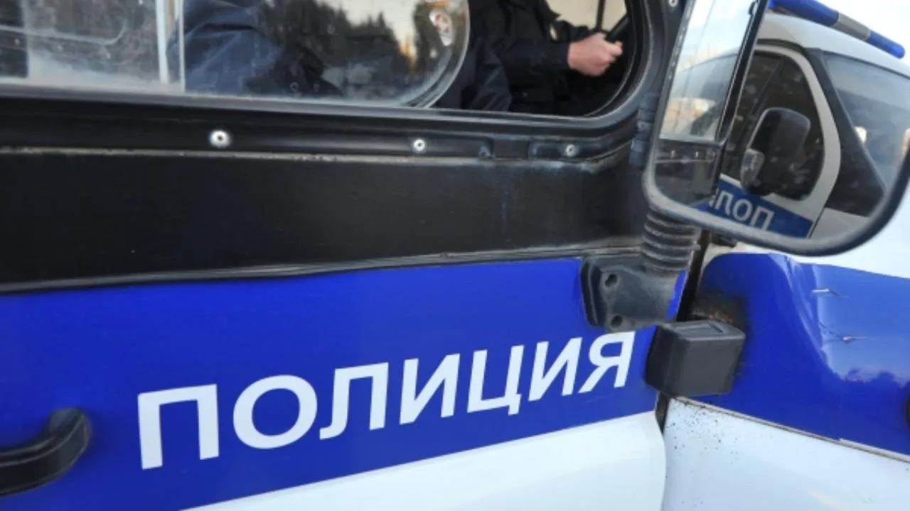 Продал арендованную машину: мошеннические действия пресекли в подмосковных Химках