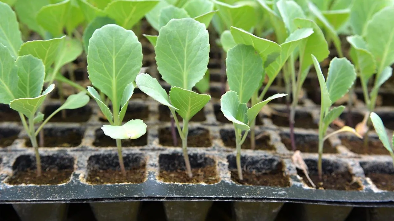 istockphoto.com/Orest Lyzhechka