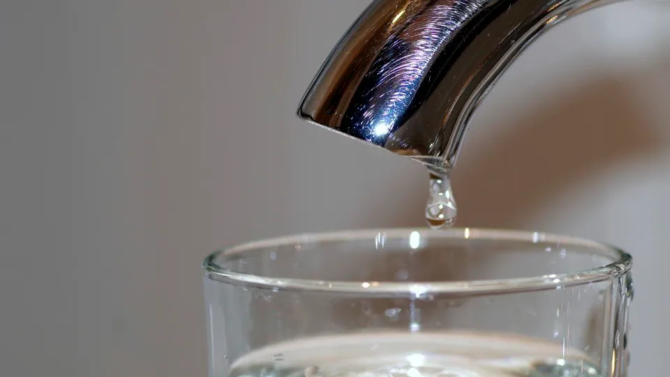 Фото: pxhere.com