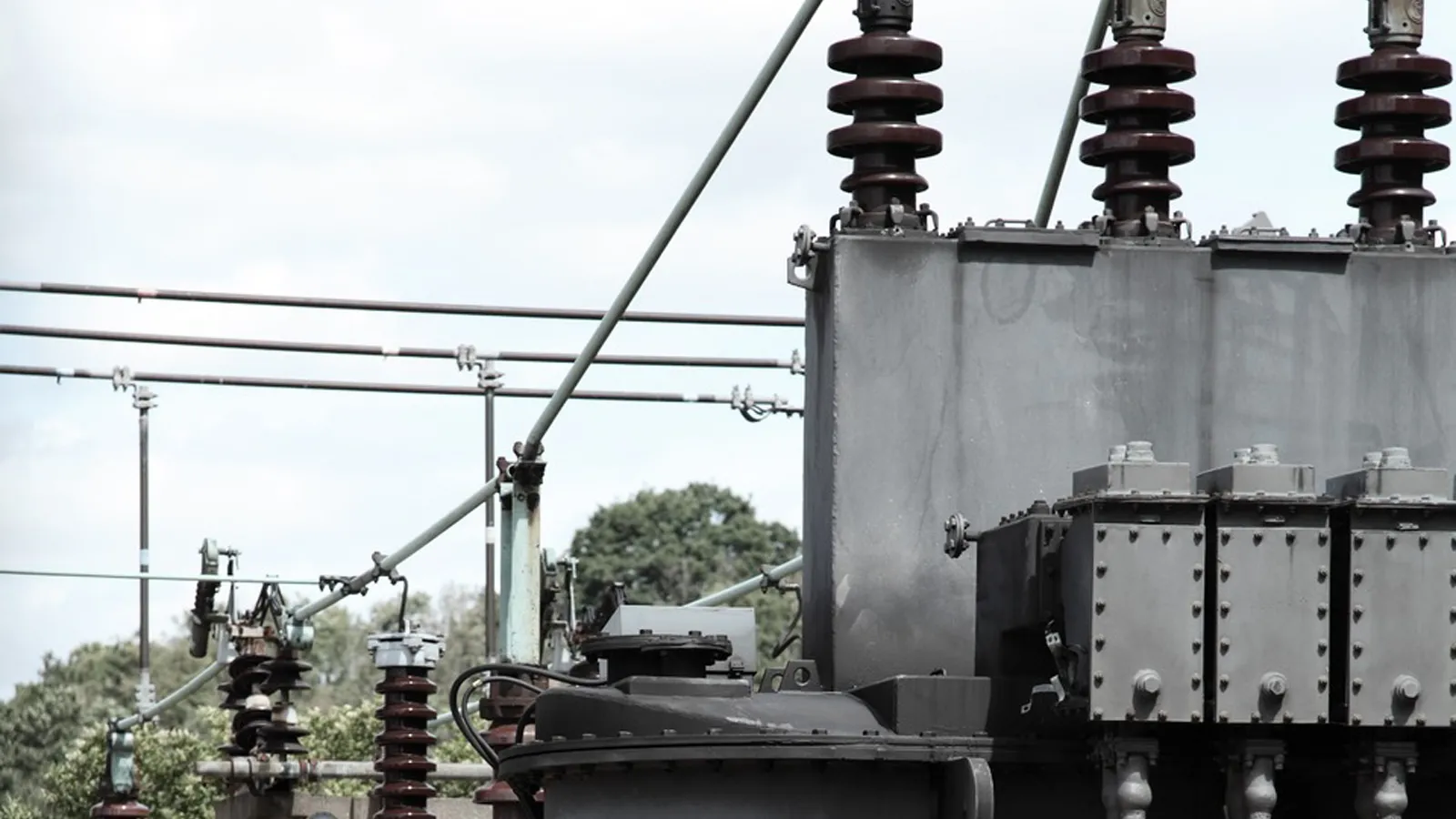 Фото: pxhere.com