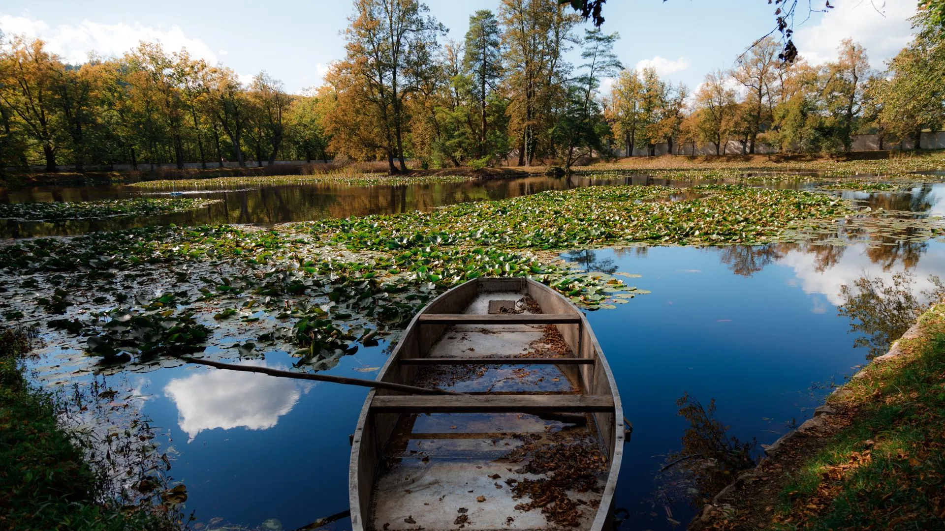 медиасток.рф