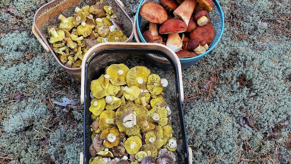 Фото: личный архив Василия Потапова