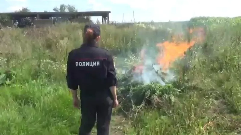 ГУ МВД по МО