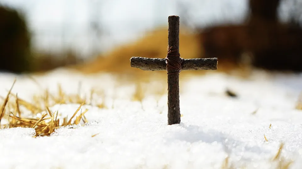 Фото: istockphoto.com