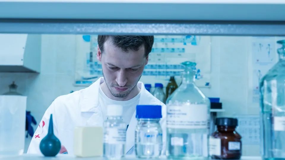 Фото: REGIONS/Наталия Надточая