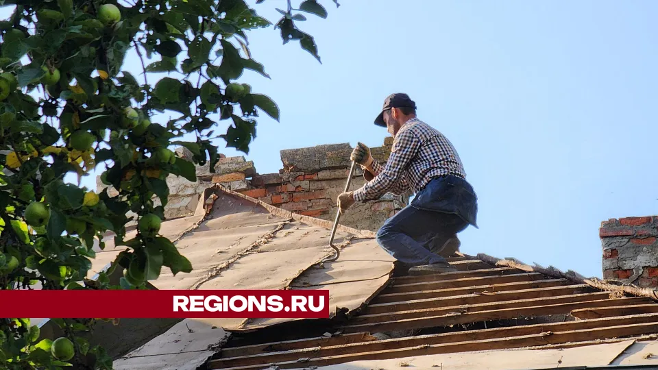 Фото: Дмитрий Алексеенко