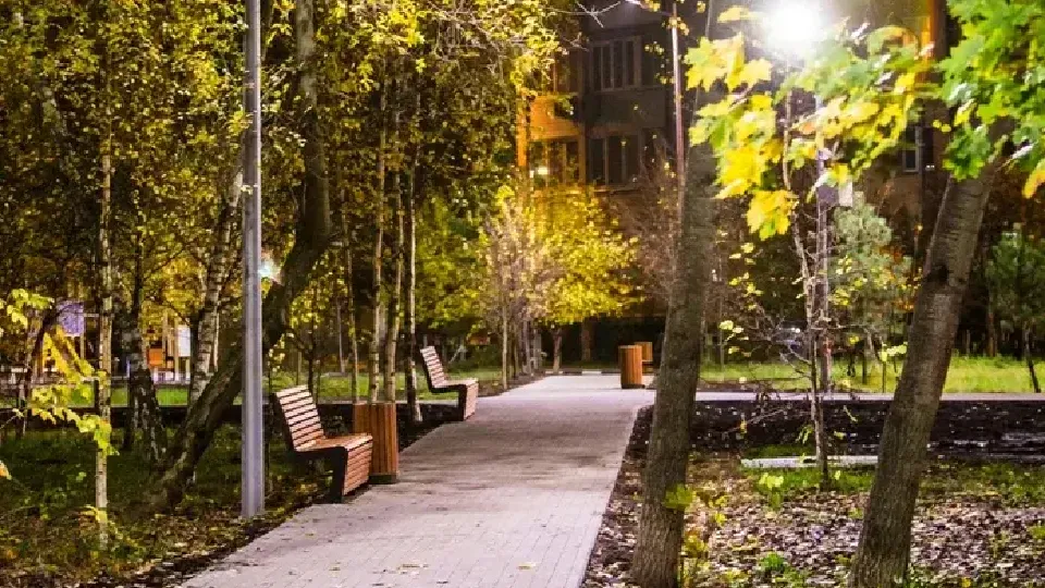 Фото: Министерство благоустройства Московской области